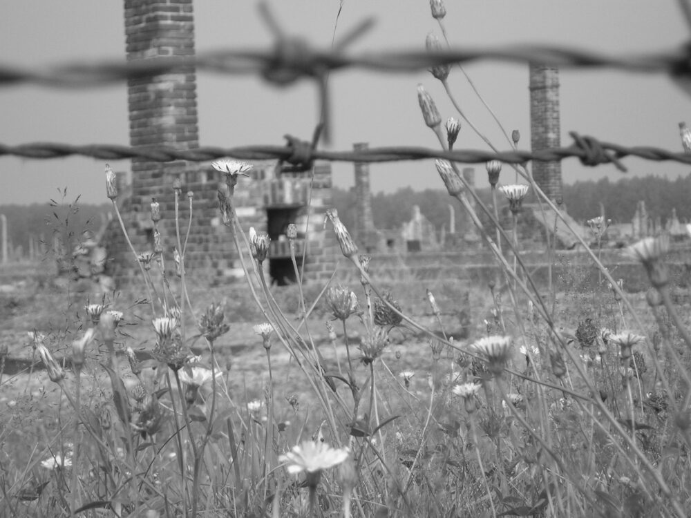 Auschwitz-Birkenau_abgebrannte_Barracken